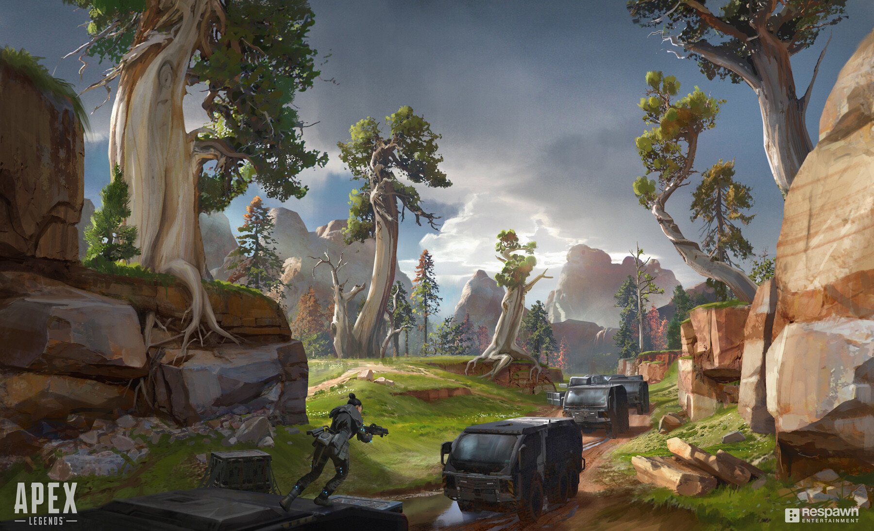 者的关注 者的关注