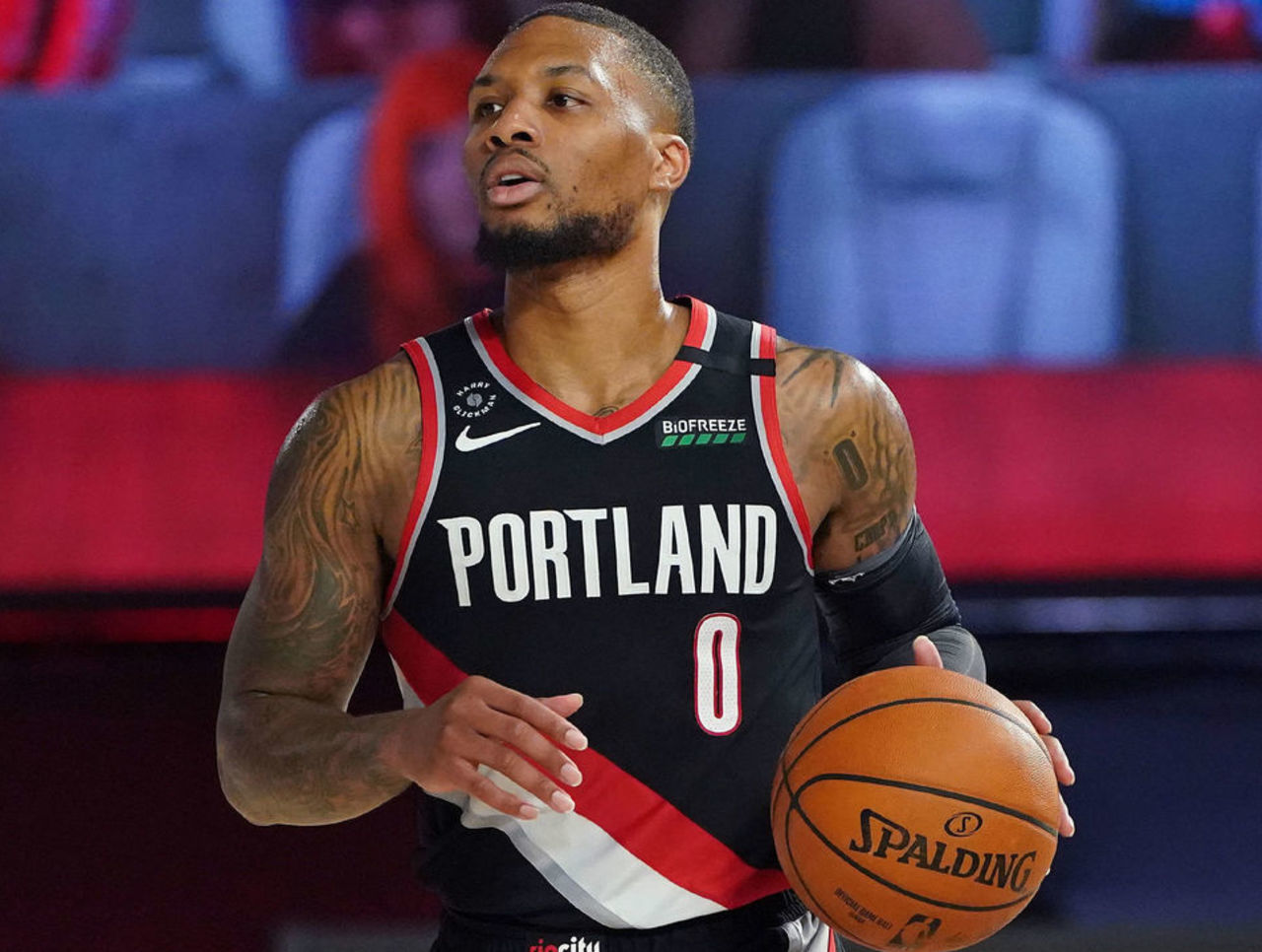 他可以提供 他可以提供