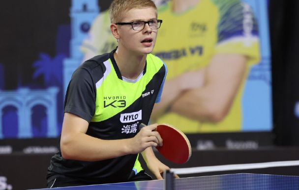 星德维恩 星德维恩